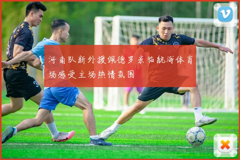 河南队新外援佩德罗亲临航海体育场感受主场热情氛围