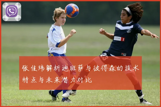 张佳玮解析迪班萨与彼得森的技术特点与未来潜力对比